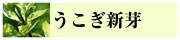 うこぎ新芽