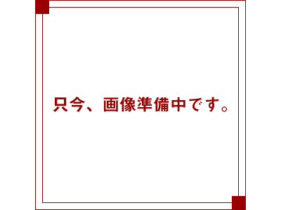 うこぎ新芽茶葉(30g袋入り)詰め替え用