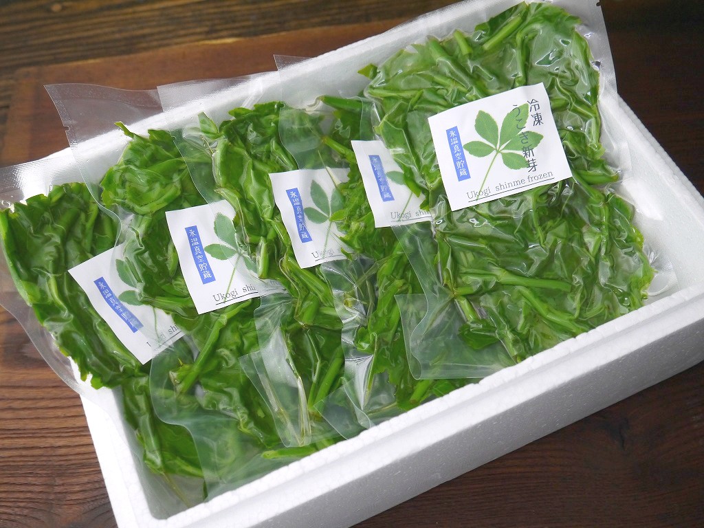 氷温真空 うこぎ新芽(100g×5袋詰)